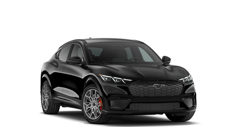 Mustang Mach-E® vehicle